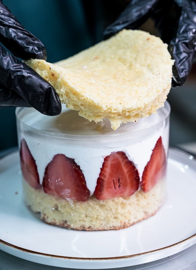 Assembling Fraisier cake layers with sponge, cream and fresh strawberries