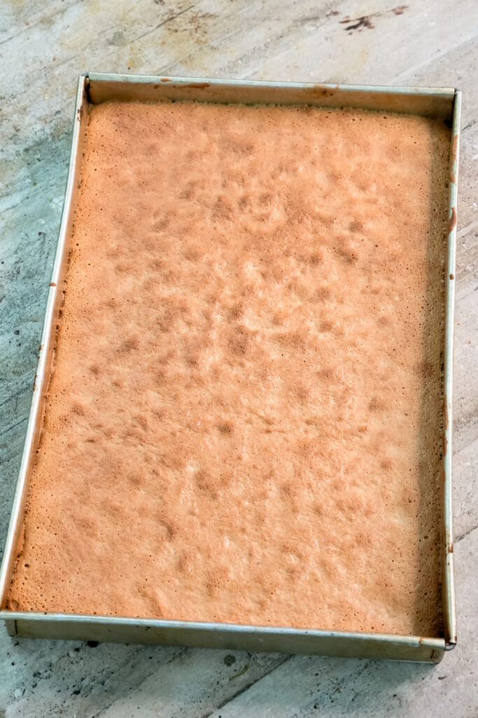 Baked opera cake sponge layer in pan showing golden color and texture