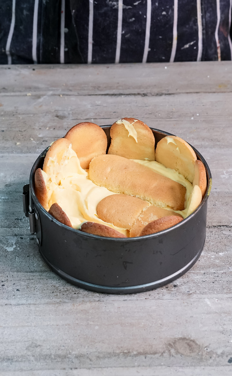 Charlotte cake with smooth custard filling between ladyfingers