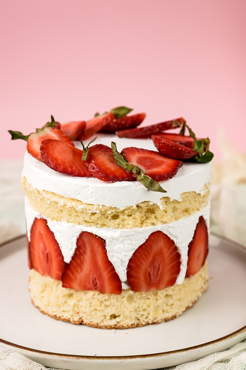 Classic French Fraisier cake with strawberries and white cream