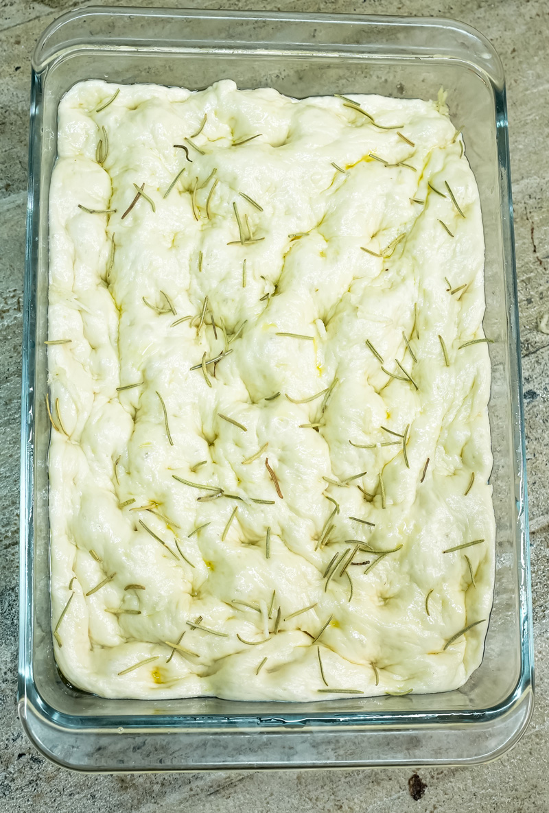 Focaccia bread ready for oven with rosemary garnish