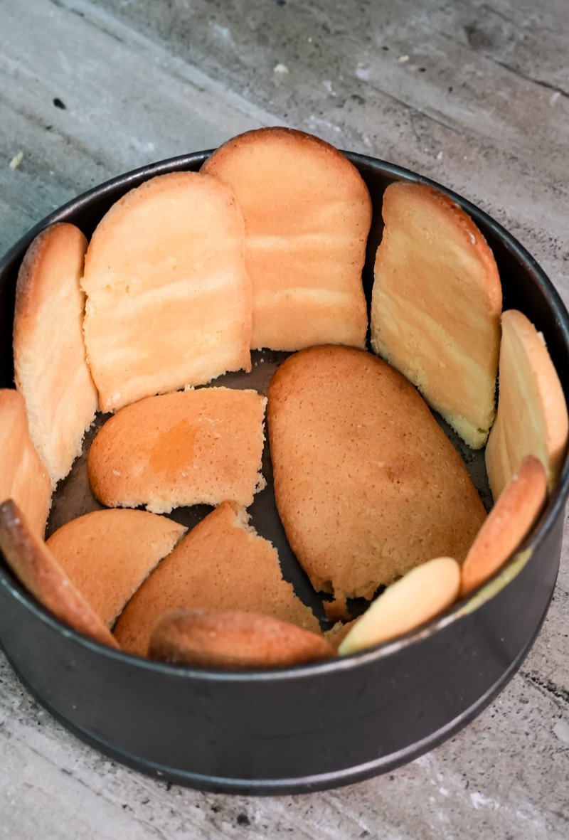 Ladyfinger cookies arranged in springform pan for charlotte cake base