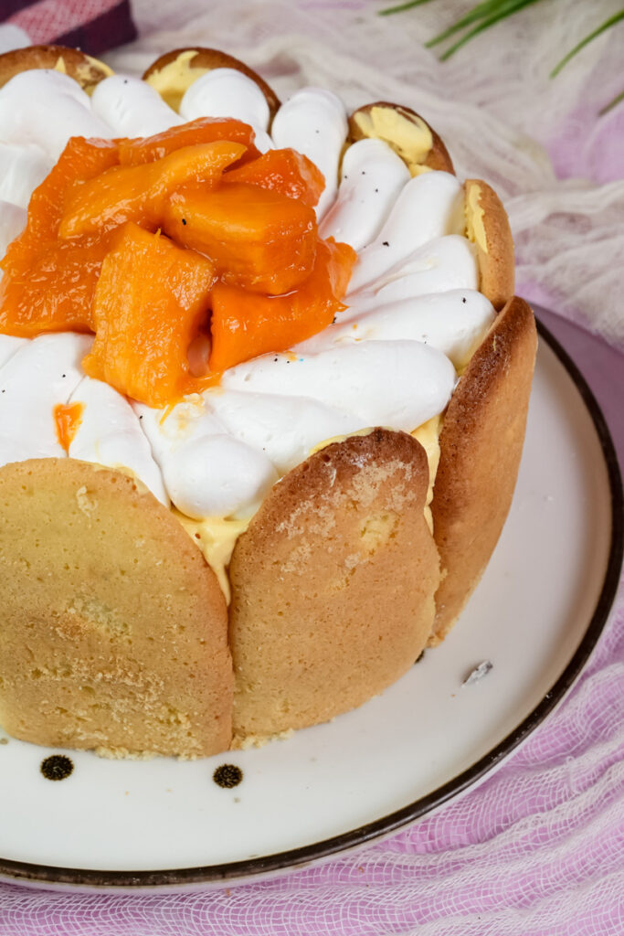Mango charlotte cake slice close-up showing custard filling and ladyfinger base