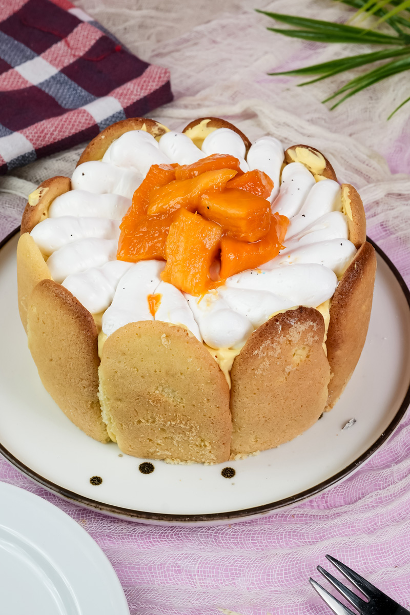 Mango charlotte cake decorated with whipped cream rosettes and mango pieces