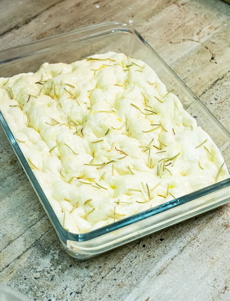 Raw focaccia dough topped with fresh rosemary before baking