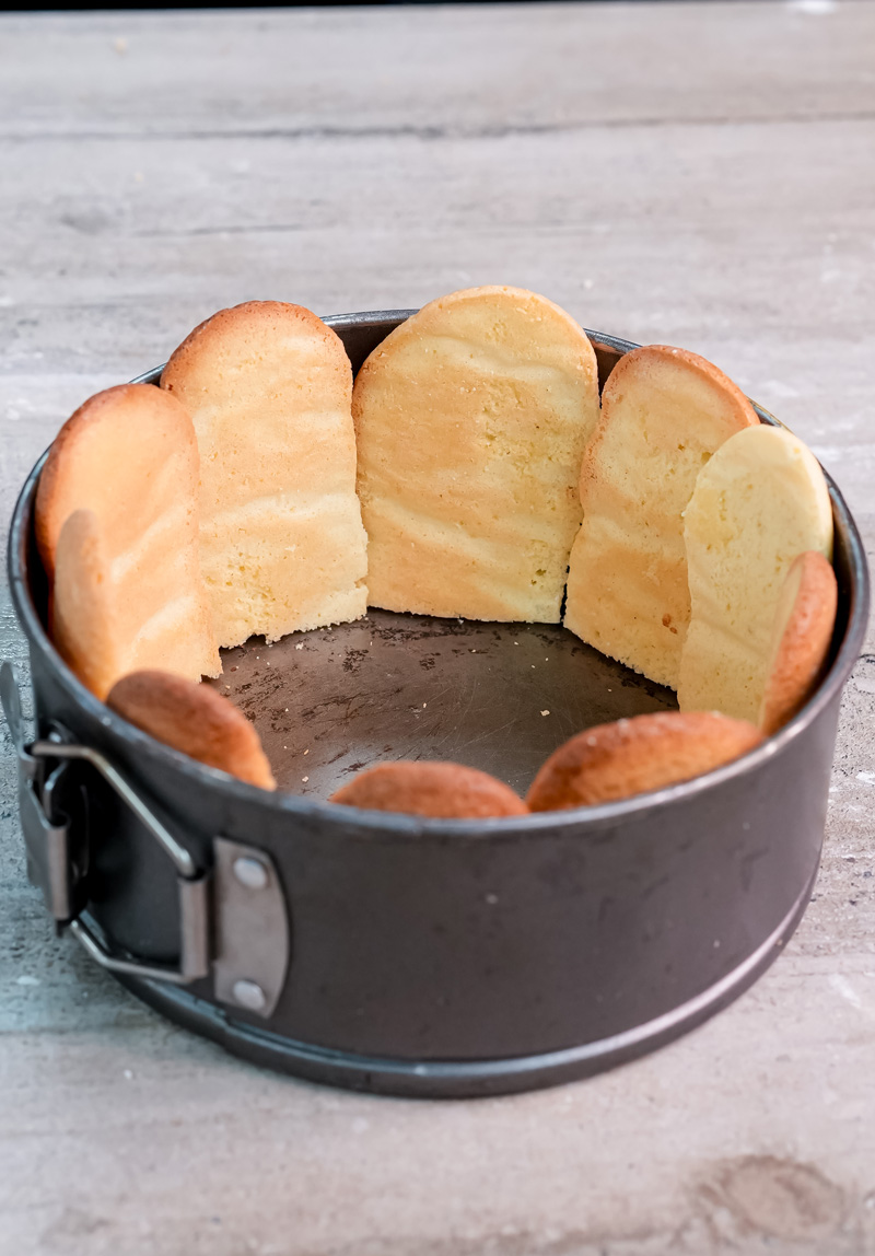 Sliced charlotte cake revealing layered ladyfinger and custard interior