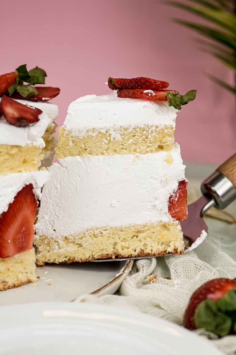 Cross-section view of layered Fraisier cake with vanilla sponge