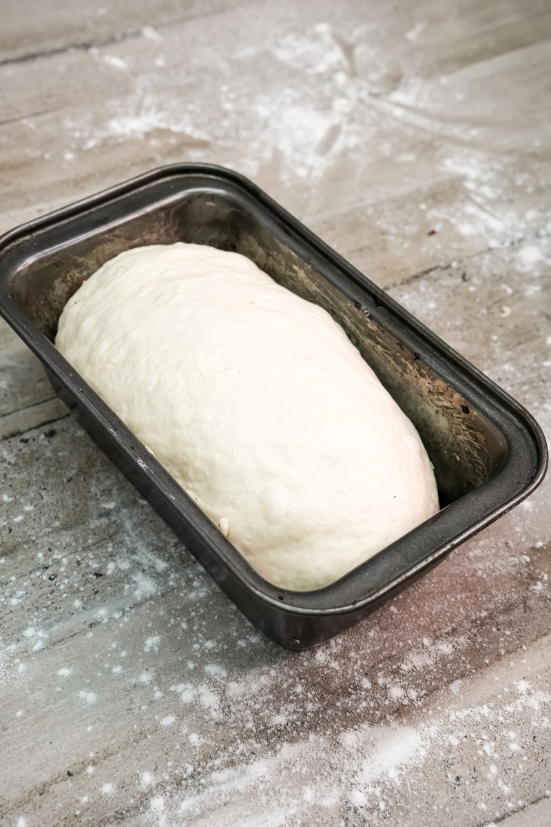 English Muffin Bread dough settled in a loaf pan before its final rise.