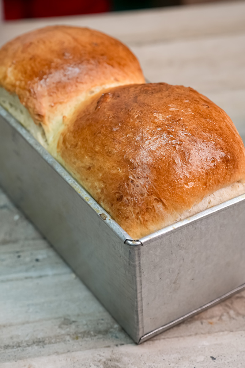 Freshly baked Japanese milk bread with golden brown crust