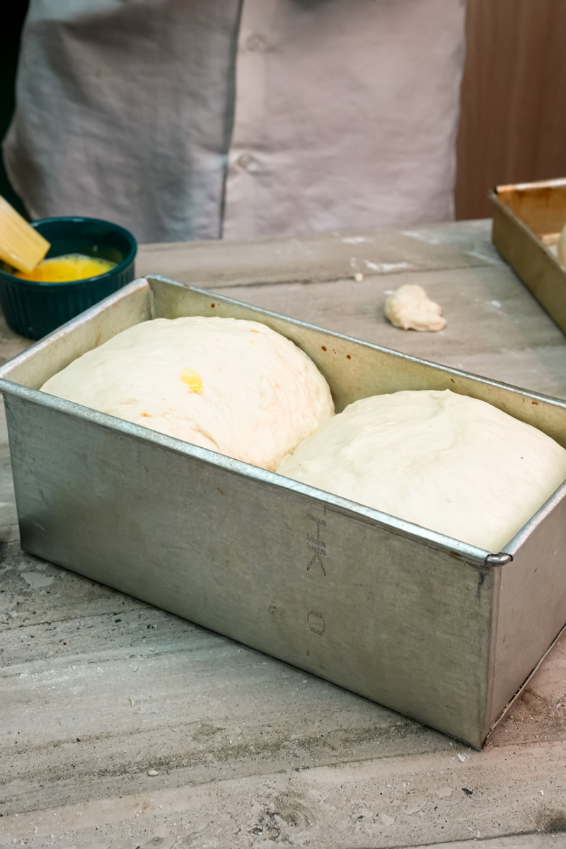 Japanese milk bread dough shaped in loaf pan before rising