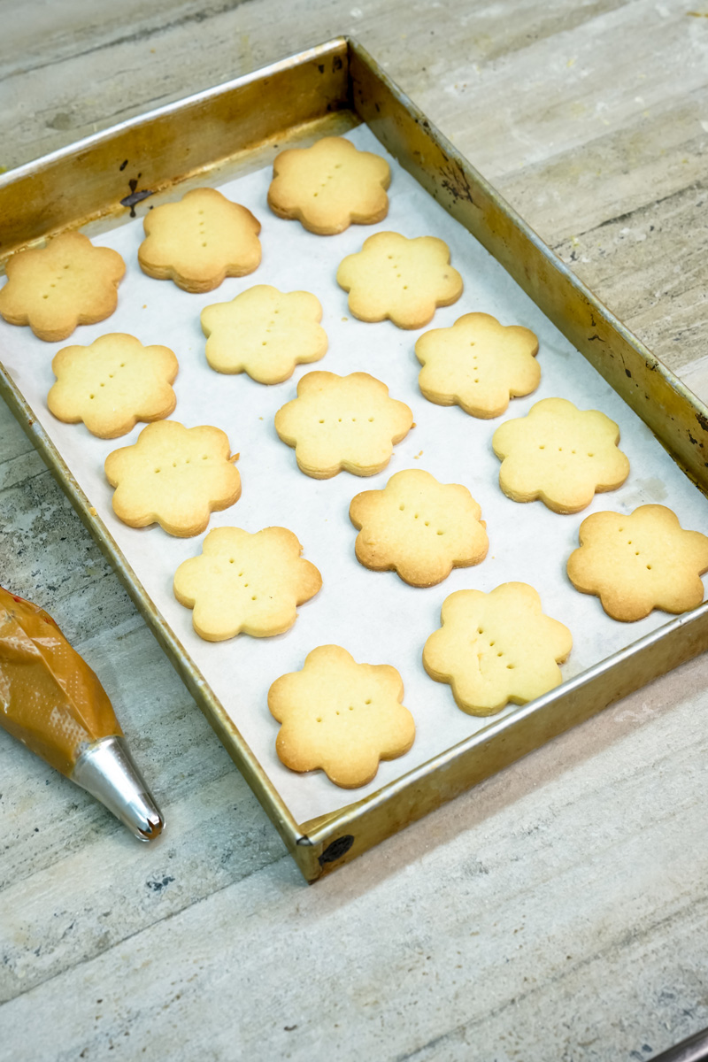 Baked alfajores cookies cooling on parchment-lined baking sheet