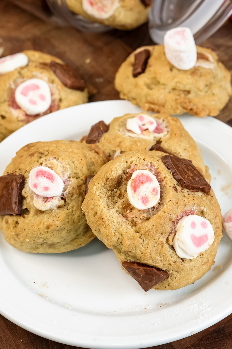 Golden baked s'mores cookies with melted marshmallows and chocolate