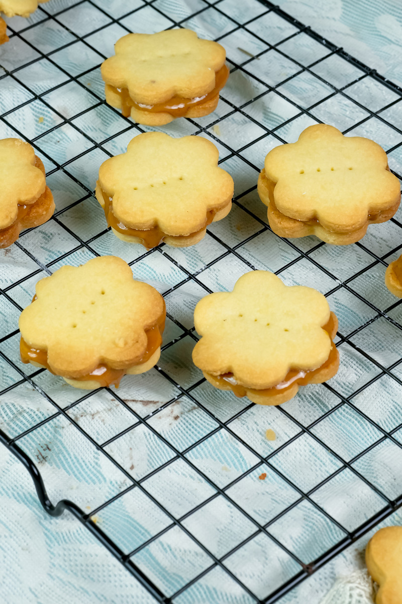 Finished alfajores cookies with caramel filling on cooling rack