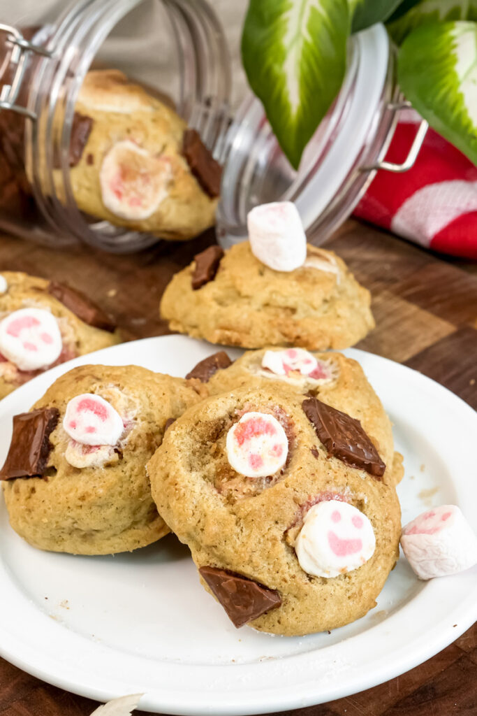 Homemade s'mores cookies displayed on white plate