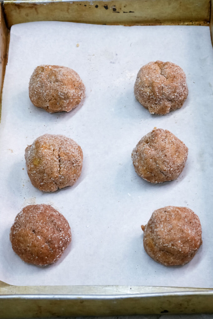 Six unbaked gingerbread cookies on a tray