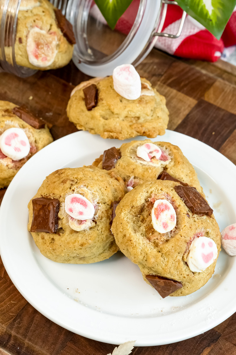 S'mores cookies arranged on plate with chocolate and marshmallow toppings