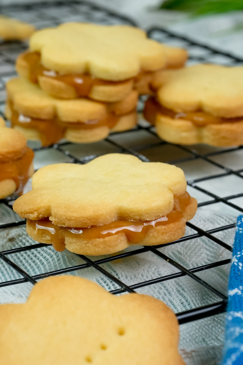 Homemade alfajores cookies with dulce de leche filling cooling on wire rack