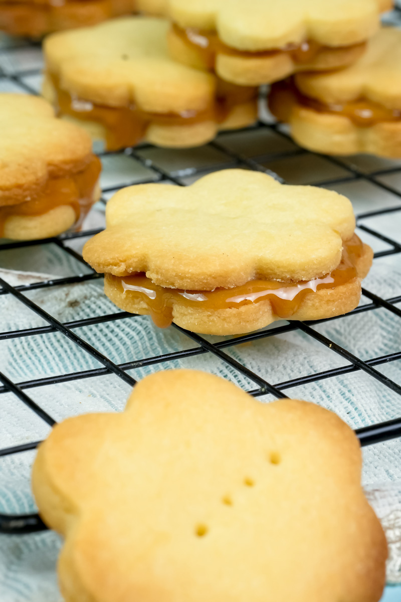 Traditional alfajores cookies with caramel filling cooling after baking